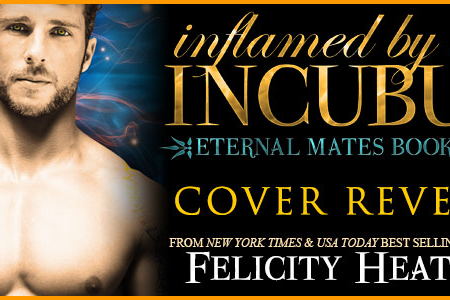 Cover Reveal – Inflamed by an Incubus by Felicity Heaton